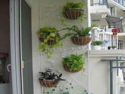 阳台小没法种花?家居达人分享不占地方的养花方法,值得点赞!