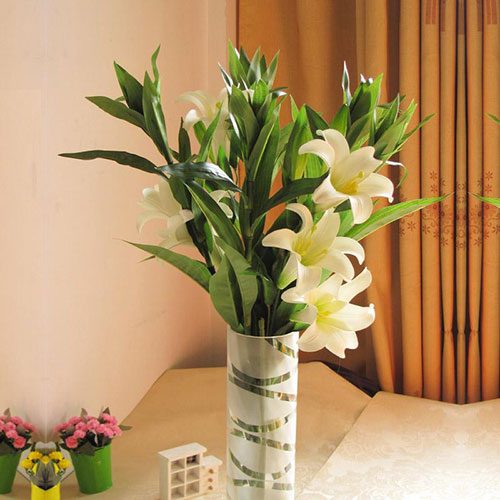 春节快到了,大气高档的植物摆在客厅里更有气氛哦!