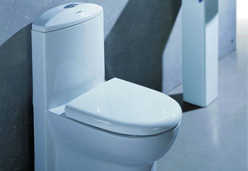 选购马桶要知道的马桶分类以及优缺点，你家马桶选对了吧？