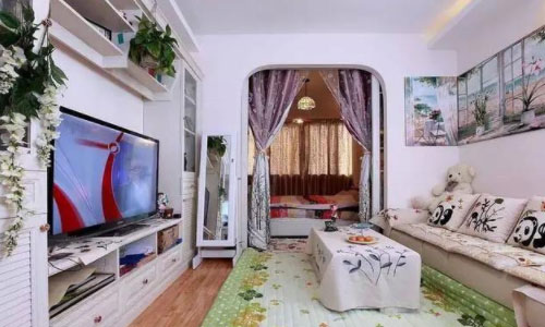 小夫妻为了增加一间房,把客厅阳台给封了,柜子装满屋!