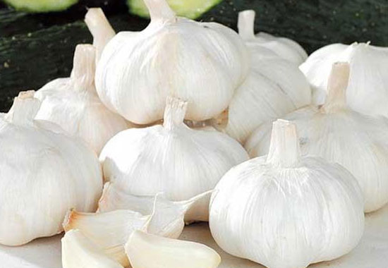 盆栽植物长虫?杀死害虫的方法,不仅省钱效果还好!