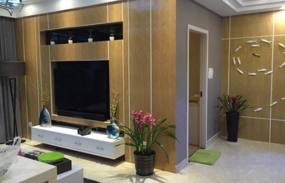 令人耳目一新的小两房装修,电视背景墙装修值得借鉴!
