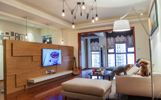 同事乔迁新居去暖房,半截电视背景墙装修最独特,谁见过?