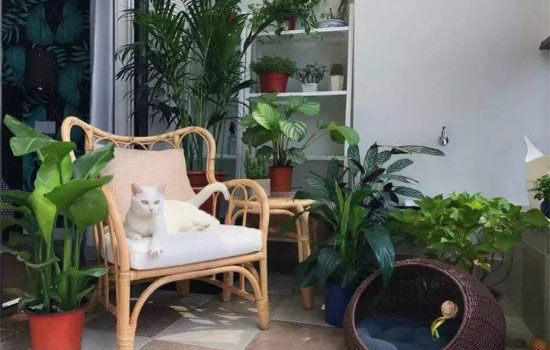 惬意的家居生活,从漂亮的阳台装修开始,以后有房了也要这样装!