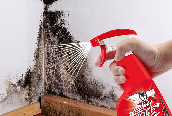 墙壁发霉危及家人健康,用除霉剂5分钟快速除霉,除霉更防霉!