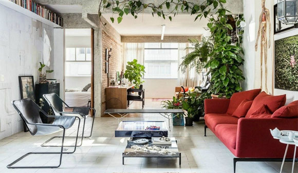 她家种满绿植,裸露的砖墙,原木色大柜子,感觉真是舒服极了!