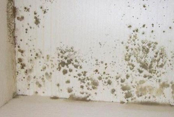 新装修的房子墙面受潮怎么办?不同材质墙面受潮处理方法,实用贴要收藏!