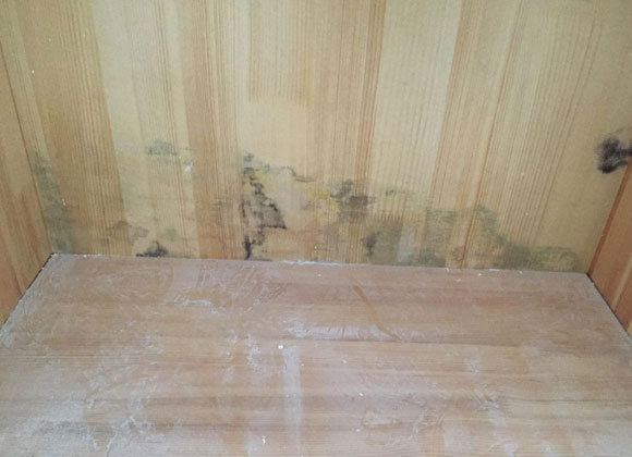 衣柜发霉怎么办?衣柜有霉味怎么去除?