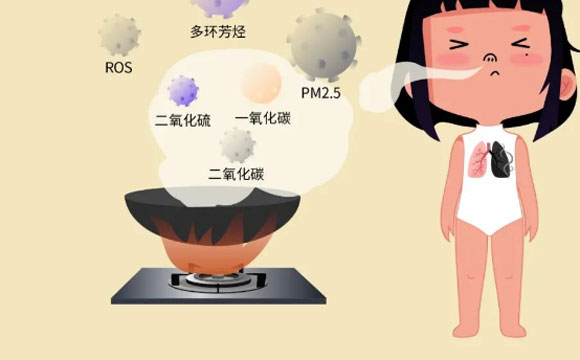 侧吸式/顶吸式吸油烟机哪个好？挑选油烟机要注意款式和参数！