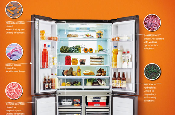 看起来干净如新的冰箱，可能正在经历着“生化危机”，冰箱里的细菌威胁不容忽视！
