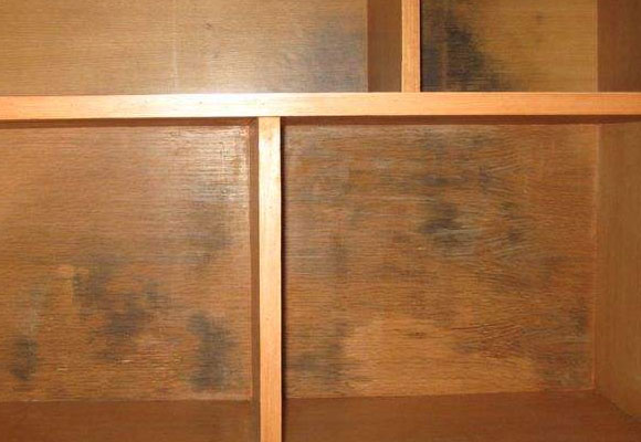 家里柜子发霉怎么办？这些方法让你轻松解决！