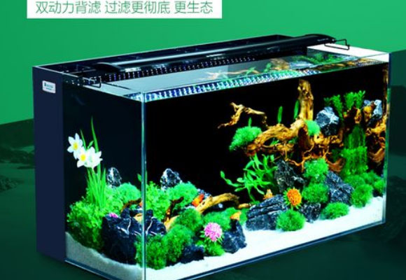不仅仅是鱼缸升级版，生态水族箱的8大特点你知道吗？