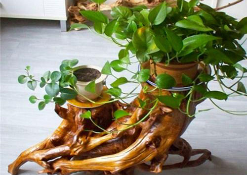 根雕花架的制作工序与保养方法，提升家居空间品位！